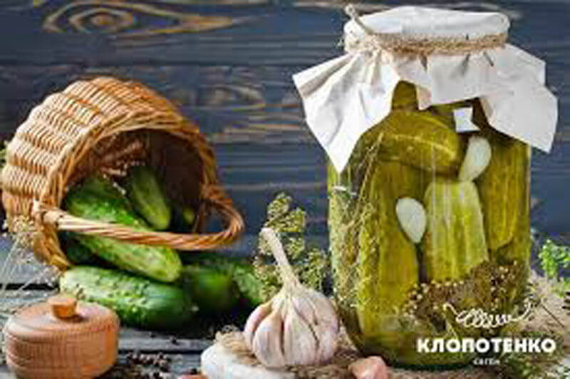 Рецепт здоровой корпоративной культуры. Как избежать отторжения новичков?